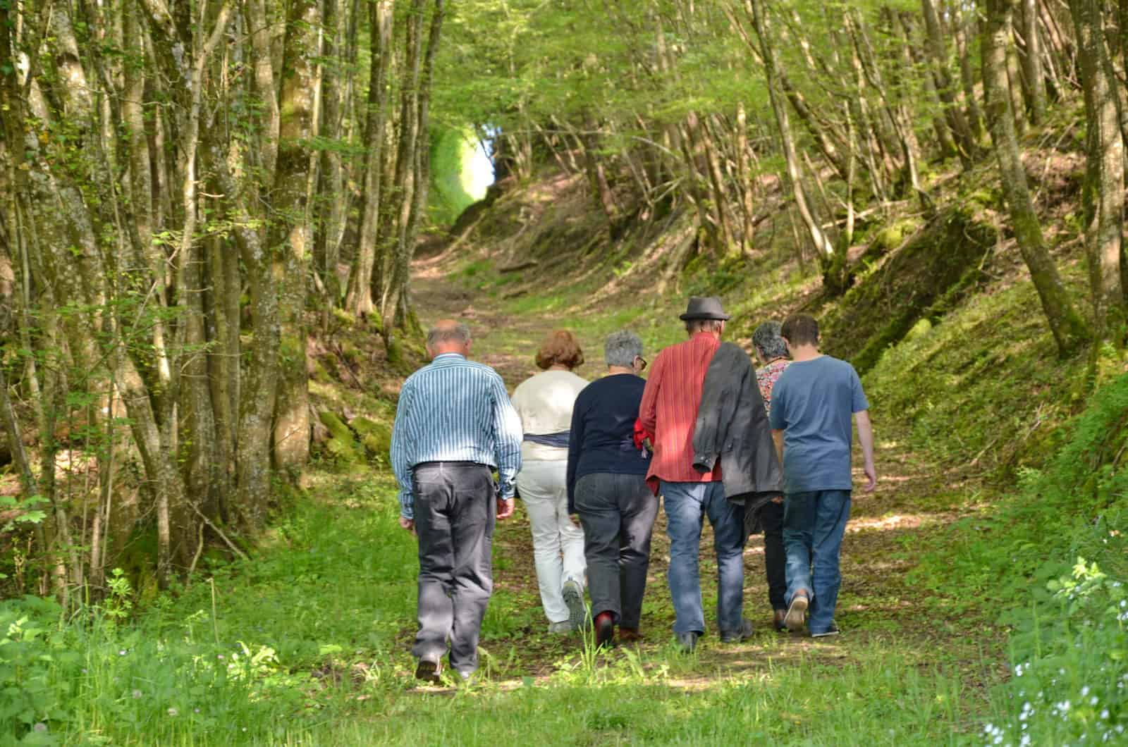 Chemin de randonnée vers Villedieu-le-Château en forme de tunnel - gîte rural de Haute Forêt en Vallée du Loir