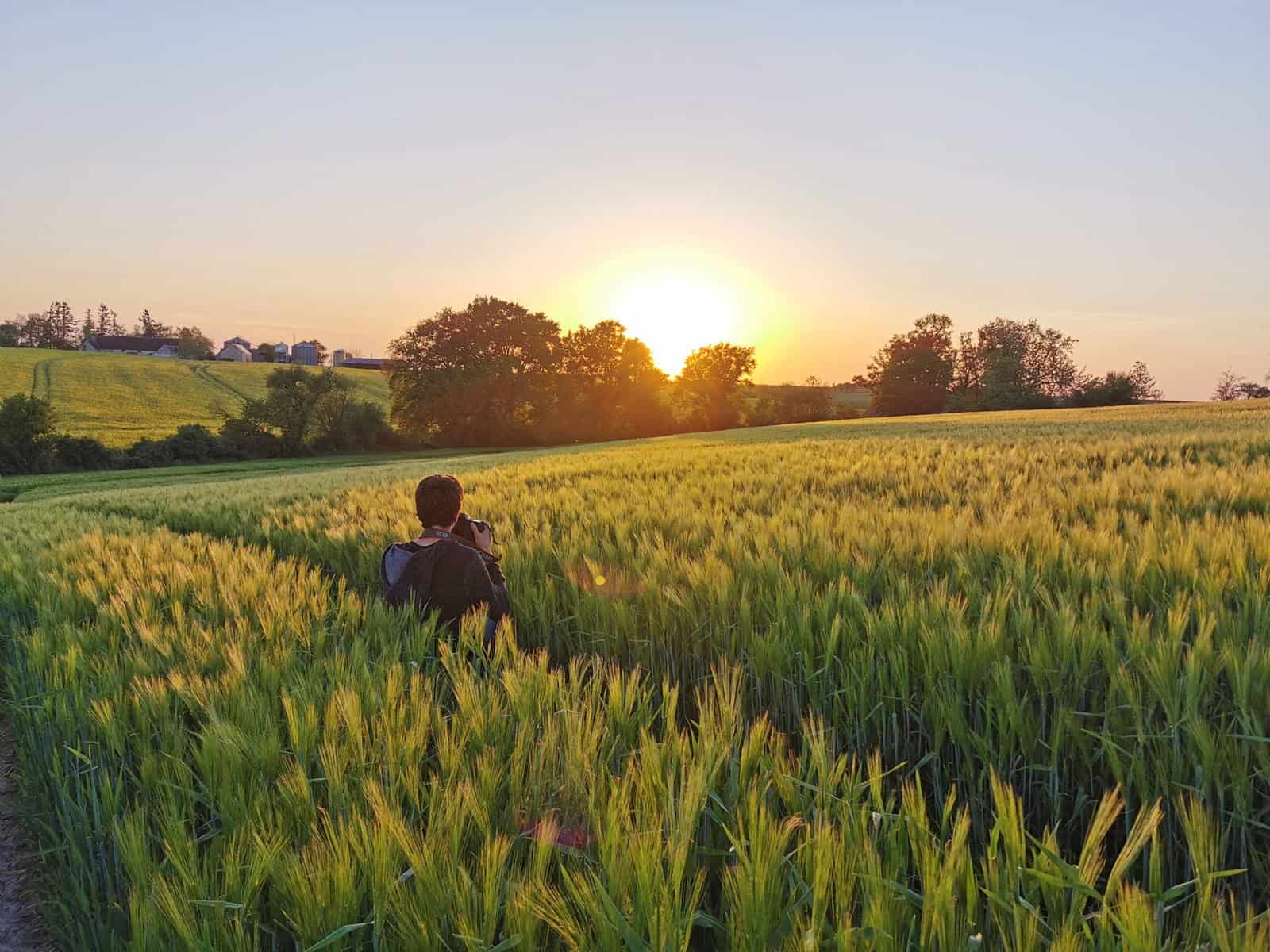 Photographe dans un champ d'orge au coucher du soleil